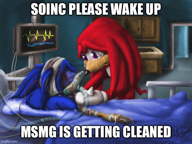 sonic please | Soinc please wake up; Msmg is getting cleaned | image tagged in sonic please | made w/ Imgflip meme maker