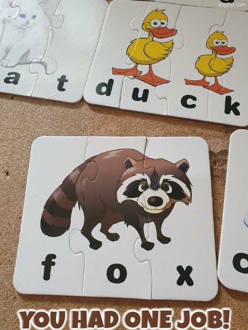 That's not a fox | You had one job! | image tagged in you had one job,duhhh dumbass,do you are have stupid,fox,raccoon,human stupidity | made w/ Imgflip meme maker