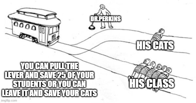 Trolley Problem | Dr.perkins; His cats; You can pull the lever and save 25 of your students or you can leave it and save your cats; His class | image tagged in trolley problem | made w/ Imgflip meme maker