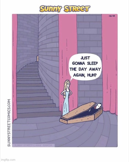 He can’t sleep at night, that’s what the day is for anyway | image tagged in comics,sunny street,dracula,wife,sleep the day away,again | made w/ Imgflip meme maker