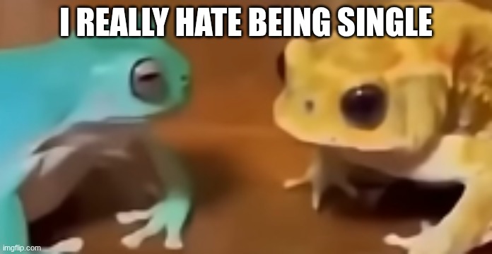 the fuck did you just say | i really hate being single | image tagged in the fuck did you just say | made w/ Imgflip meme maker