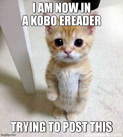I am a kobo ereader guy | I am now in a kobo ereader; Trying to post this | image tagged in memes,cute cat | made w/ Imgflip meme maker