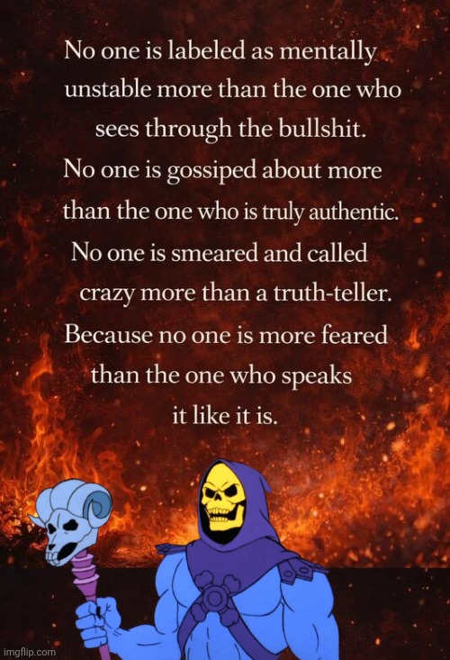What they call it when you see through it | image tagged in img-22 jpeg,skeletor disturbing facts,demotivationals | made w/ Imgflip meme maker