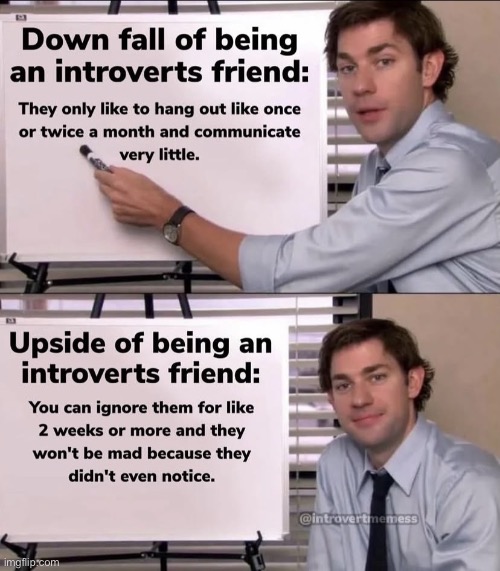 so true | image tagged in funny,meme,introvert | made w/ Imgflip meme maker