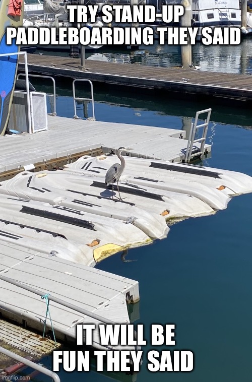 refund please | Try stand-up paddleboarding they said; It will be fun they said | image tagged in funny,meme,it will be fun they said | made w/ Imgflip meme maker