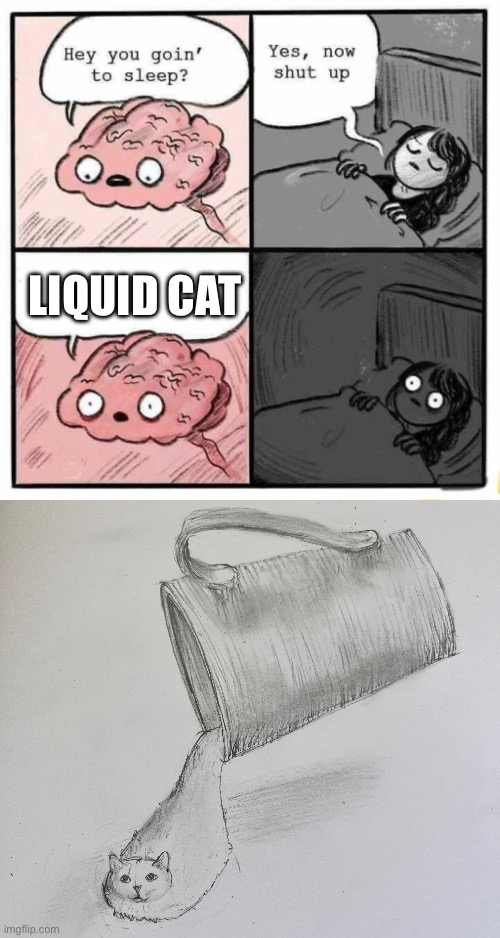 Liquid cat | image tagged in hey you going to sleep,cat,liquid,drawing | made w/ Imgflip meme maker