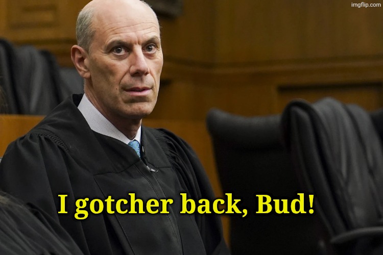 I gotcher back, Bud! | image tagged in lunatic activist judge james jeb boasberg | made w/ Imgflip meme maker