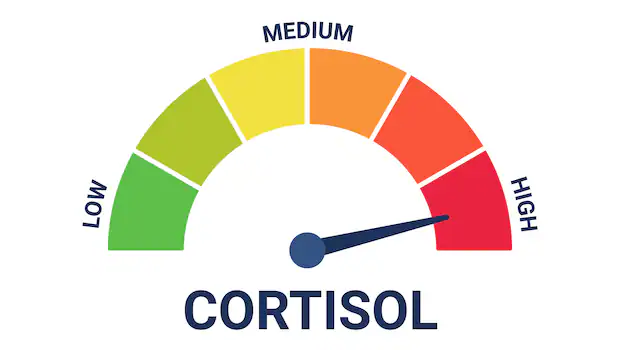 high cortizol Blank Meme Template