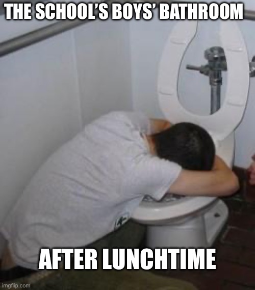 Drunk puking toilet | The school’s boys’ bathroom; After lunchtime | image tagged in drunk puking toilet | made w/ Imgflip meme maker