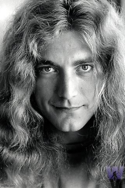 Robert Plant (Led Zeppelin) | image tagged in robert plant led zeppelin | made w/ Imgflip meme maker