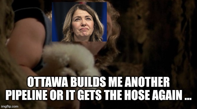 Canadian politics | image tagged in political meme | made w/ Imgflip meme maker
