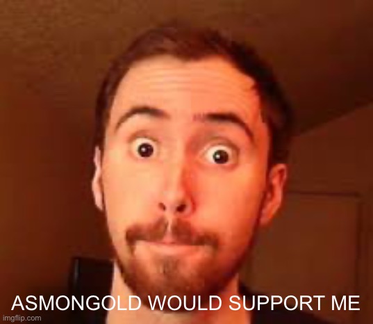 Asmongold | asmongold would support me | image tagged in asmongold | made w/ Imgflip meme maker