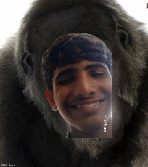 Salman khan monkey | image tagged in salman khan monkey | made w/ Imgflip meme maker