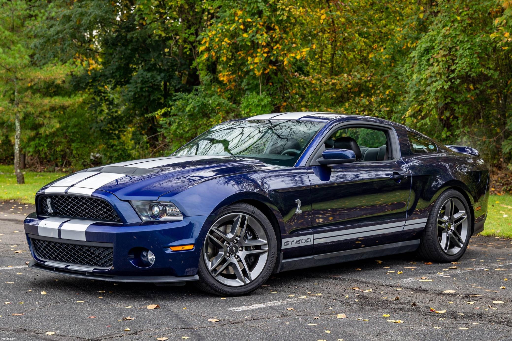 2010 Ford Mustang Shelby GT500 (Source: Cars & Bids) | image tagged in 2010 ford mustang shelby gt500,ford mustang,shelby,ford | made w/ Imgflip meme maker