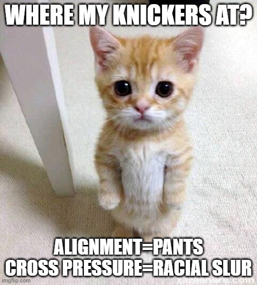 Interest Group Cat | Where My Knickers at? Alignment=Pants
Cross Pressure=Racial slur | image tagged in memes,cute cat | made w/ Imgflip meme maker