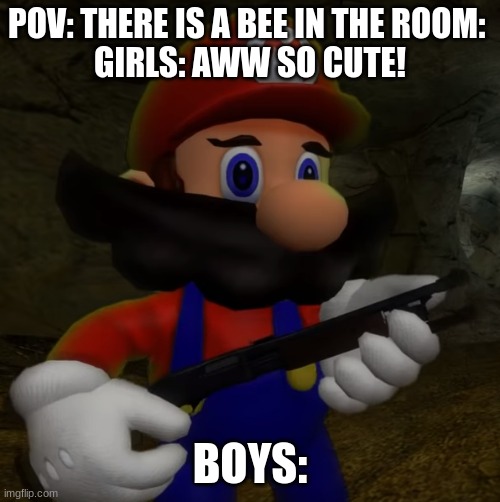 Mario with Shotgun | pov: there is a bee in the room: 
girls: aww so cute! Boys: | image tagged in mario with shotgun | made w/ Imgflip meme maker