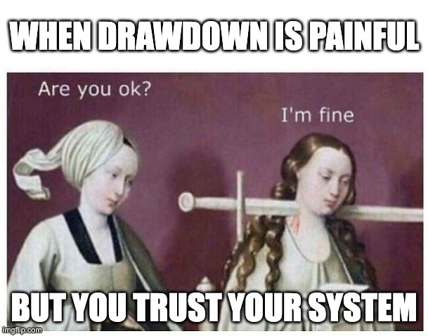drawdown | When drawdown is painful; but you trust your system | image tagged in blggrbvasrb-png__700 1 jpg | made w/ Imgflip meme maker