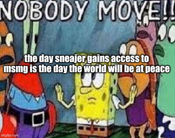 NOBODY MOVE!! | the day sneajer gains access to msmg is the day the world will be at peace | image tagged in nobody move | made w/ Imgflip meme maker