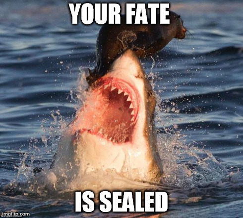 Travelonshark | YOUR FATE  IS SEALED | image tagged in memes,travelonshark | made w/ Imgflip meme maker