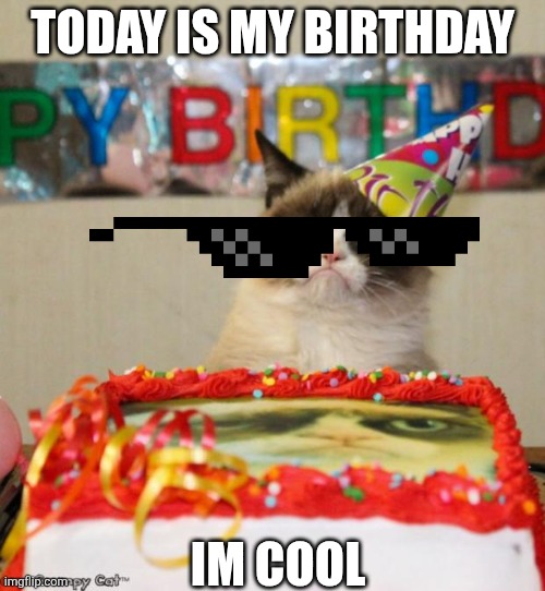 Grumpy Cat Birthday | Today is my birthday; Im cool | image tagged in memes,grumpy cat birthday,grumpy cat,remix | made w/ Imgflip meme maker