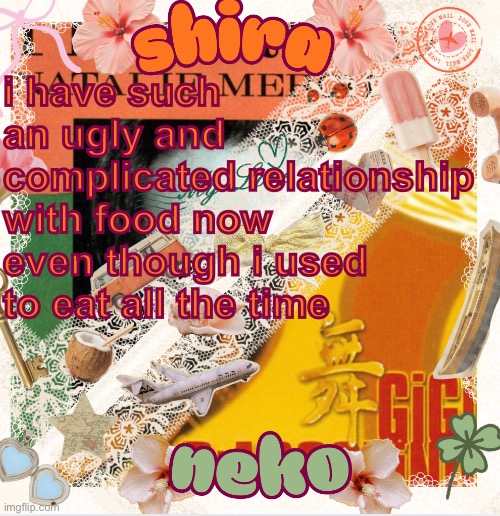 the idea of eating just disgusts me | i have such an ugly and complicated relationship with food now even though i used to eat all the time | image tagged in neko and shira shared temp 3 | made w/ Imgflip meme maker