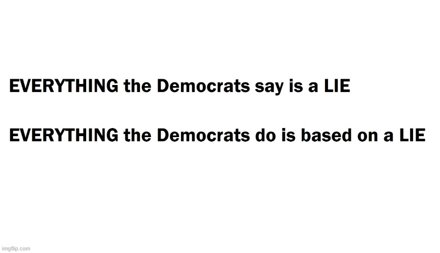 EVERYTHING the Democrats say is a LIE | image tagged in democrats everything jpg | made w/ Imgflip meme maker
