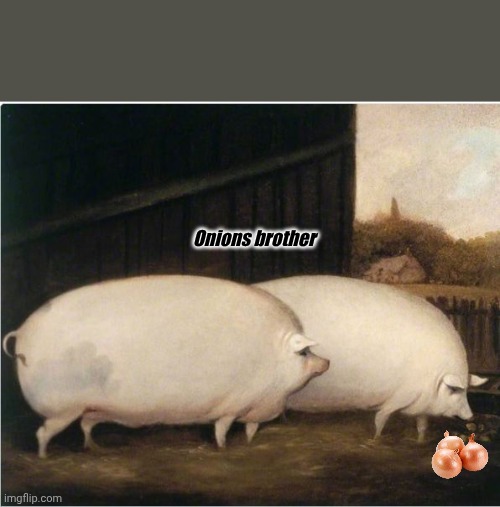 How interesting | Onions brother | image tagged in brother oat,onion,onions,pig,memes,brother | made w/ Imgflip meme maker