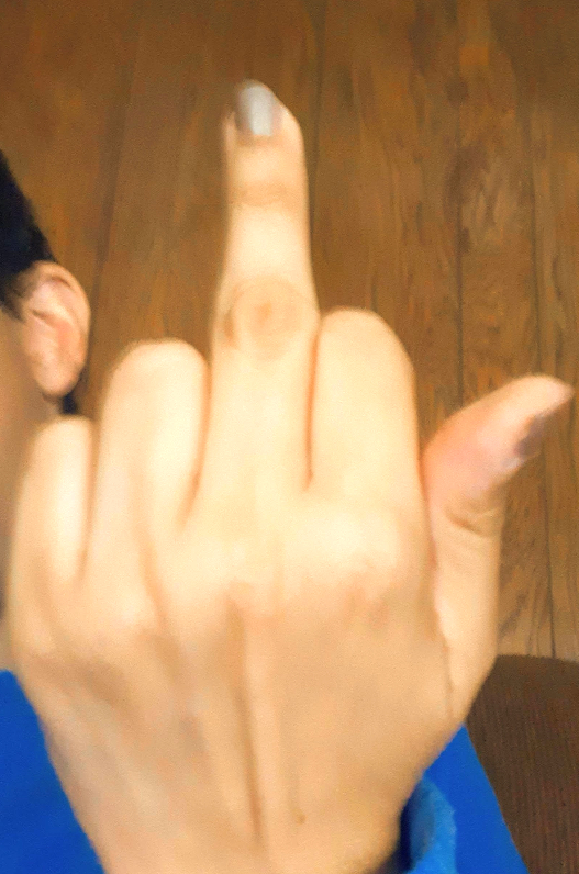 Middle Finger Bird Blank Meme Template