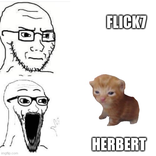 herbert | flick7; herbert | image tagged in soyjack not impressed soyjack impressed,herbert,flick7 | made w/ Imgflip meme maker