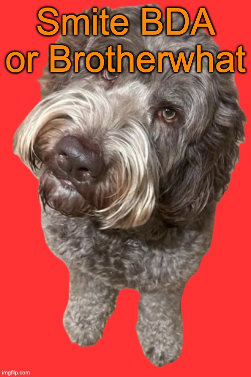 Northers Dog (Transparent) | Smite BDA or Brotherwhat | image tagged in northers dog transparent,voting game s19 | made w/ Imgflip meme maker