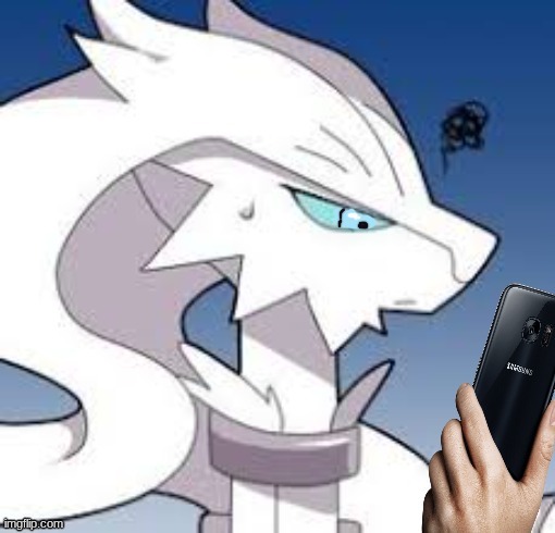 Reshiram looking at phone | image tagged in reshiram looking at phone | made w/ Imgflip meme maker