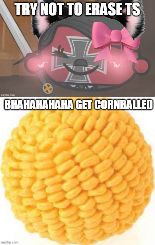try not to erase ts BHAHAHAHAHA GET CORNBALLED | image tagged in femboy hitball,cornball | made w/ Imgflip meme maker