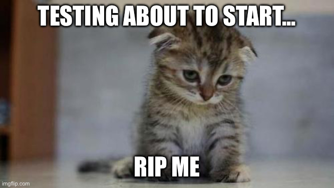 RIP me | Testing about to start... Rip me | image tagged in sad kitten | made w/ Imgflip meme maker