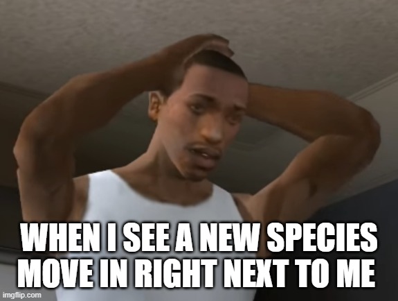 Desperate CJ | When I see a new species move in right next to me | image tagged in desperate cj | made w/ Imgflip meme maker
