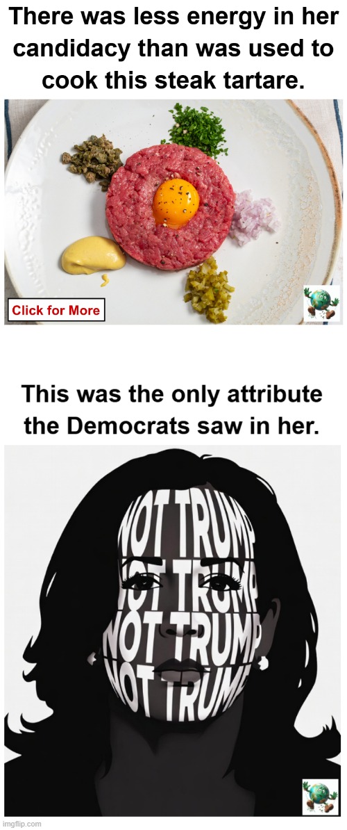 Did Kamala Harris get more votes than Barack Obama because she could better mobilize the party? | image tagged in maga,conservative,kamala harris | made w/ Imgflip meme maker