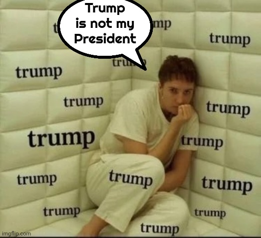 Trump is not my President | made w/ Imgflip meme maker