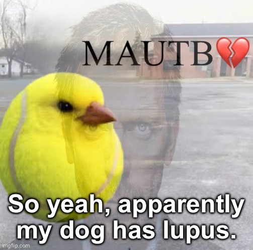 So yeah, apparently my dog has lupus. | made w/ Imgflip meme maker