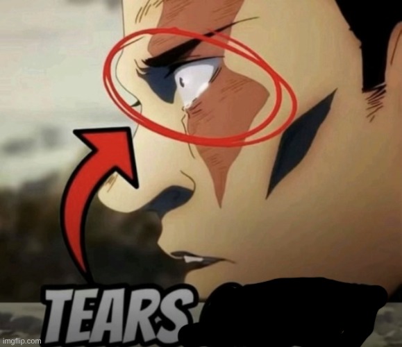 TEARS OF JOY | image tagged in tears of joy | made w/ Imgflip meme maker