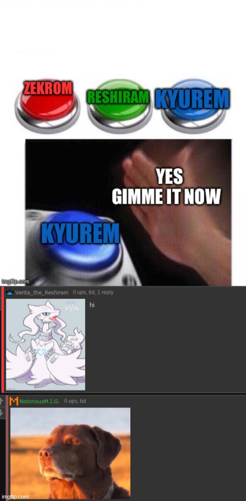 hi | image tagged in hi,reshiram,pokemon | made w/ Imgflip meme maker