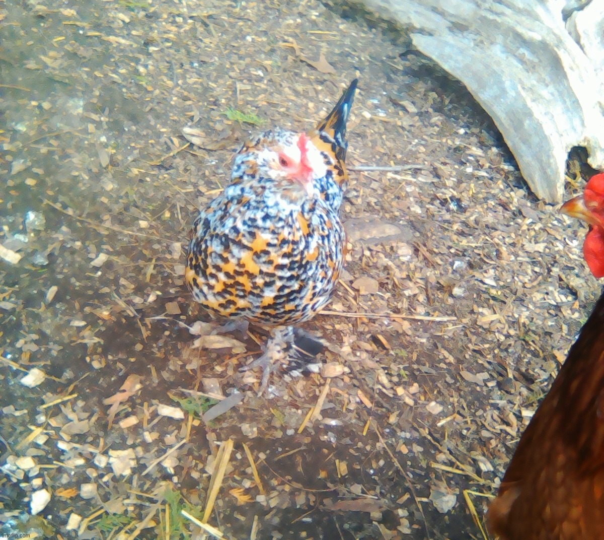 meep | made w/ Imgflip meme maker