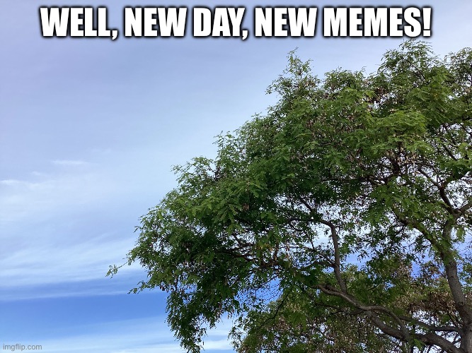 What a nice day. | Well, new day, new memes! | image tagged in memes | made w/ Imgflip meme maker