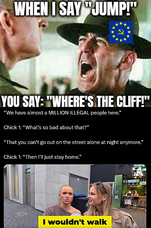 Germany. I miss the times when you could spot a communist by their looks. Now they're just your everyday globalist | When I say "jump!"; You say: "Where's the cliff!" | image tagged in drill sergeant yelling,liberals,politics,illegal immigrants,europe | made w/ Imgflip meme maker