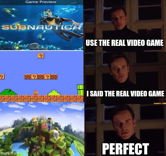 its the real one )^+^(<(+-+)>)^+^(<(+-+)>)^+^(<(+-+)> | use the real video game; i said the real video game; perfect | image tagged in perfection | made w/ Imgflip meme maker