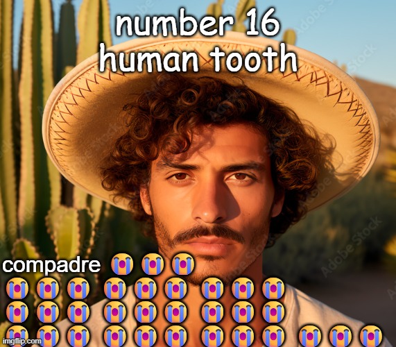 . | number 16
human tooth | image tagged in compadre,remix | made w/ Imgflip meme maker