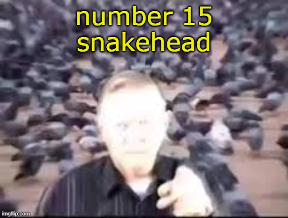 . | number 15
snakehead | image tagged in seven thousand fucking pigeons | made w/ Imgflip meme maker