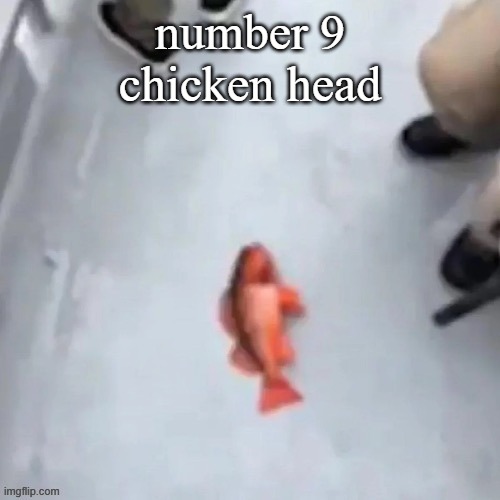 . | number 9
chicken head | image tagged in jimmy here fish | made w/ Imgflip meme maker
