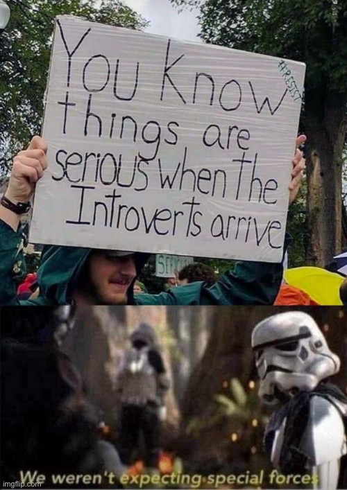 IMG_2557.jpeg | image tagged in img_2557 jpeg | made w/ Imgflip meme maker