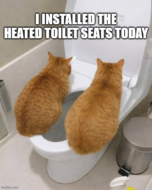 So, I installed the new heated toilet seats today ....              (cats) | I installed the heated toilet seats today | image tagged in cat,kittens,toilet,funny,humor | made w/ Imgflip meme maker