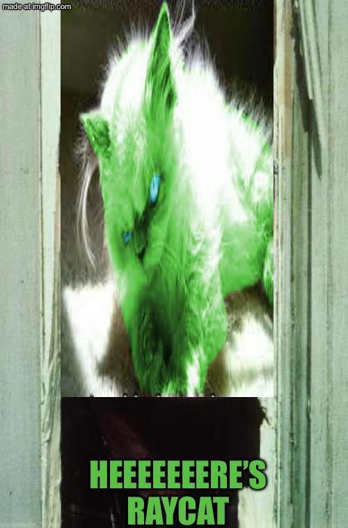 Here's Johnny | Heeeeeeere’s
RayCat | image tagged in memes,here's johnny | made w/ Imgflip meme maker