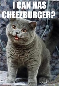 Can I haz cheeseburger | i can has cheezburger? | image tagged in can i haz cheeseburger | made w/ Imgflip meme maker